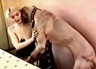 Slim blonde slut is banged indeed rigid by a dog
