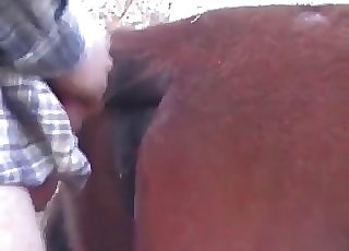 Chocolate-colored mare truly worships anal intrusion