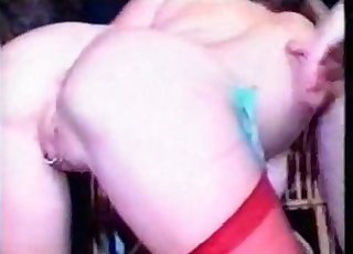 Busty bitches having all sorts of fun with their horny hound