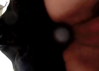 Stunning anal sex with passionate hound