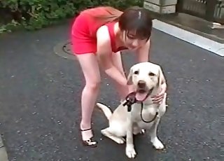 Japanese chick teasing her sexy dog