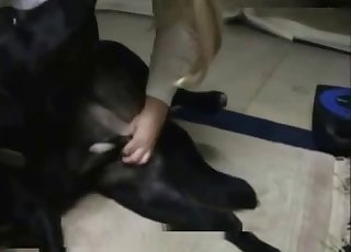 Blonde secretary and her trained black dog