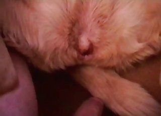 Dude shows his mutt's cute cooch