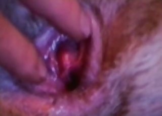 Dude shows his mutt's cute cooch