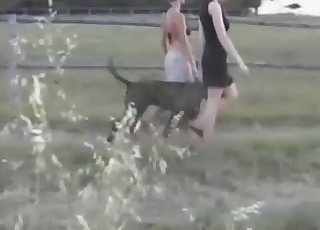 Two slender zoophiles and trained doggy