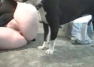 Black socks zoophile vs a black dog