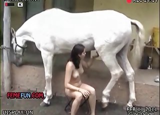 Brunette enjoying bestiality blowjobs
