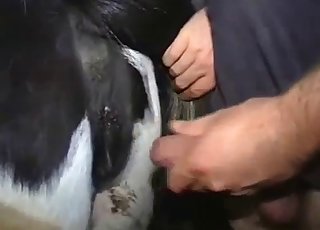 Dude raping all the animals at night