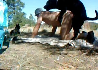 Mature people can enjoy bestiality too