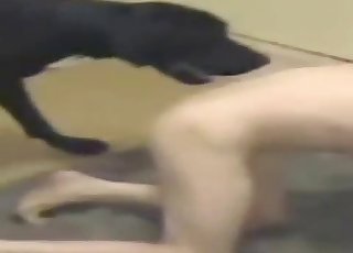 Kel zoofil sert bir eğlencenin tadını çıkarıyor