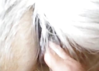 Dude finger-blasting a horny mare in POV