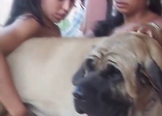 Vagina fucked hard by a doggy