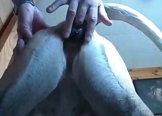 Awesome sex with a perverted doggy