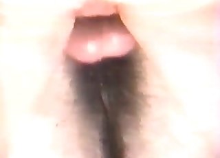 Close-up action with tight horse cunt