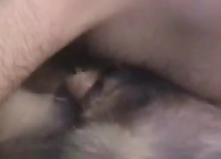 Sweet amateur bestiality XXX with nice animal