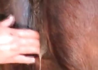 Stunning bestiality fisting in doggy style