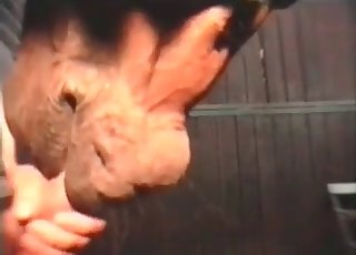 Big stallion is licking and sucking my dick