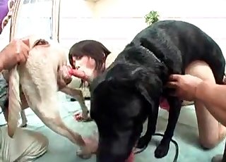 Incredible Asian getting shared