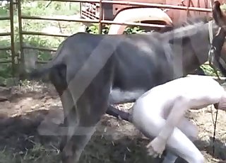 बड़ा काला टट्टू उसके तंग गुदा छेद को चोदता है