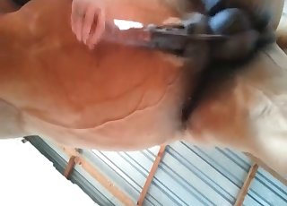 That horse's cock is the hottest