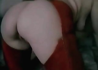 White dog is being created for bestiality XXX