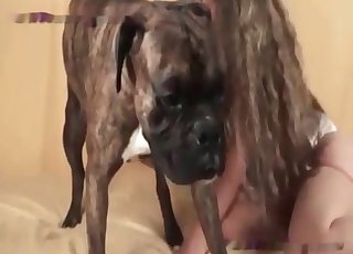 Dog's lapping that juicy pussy like crazy