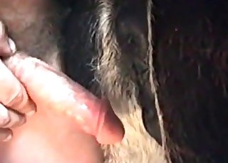 Shoving my hard dick in animal tight ass