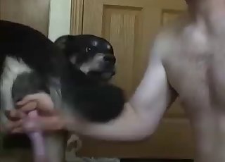 這哥們兒崇拜這隻狗的雞巴