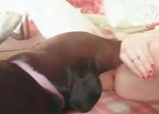 Gorgeous bestiality XXX action with my wife