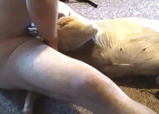 Fantastic teasing for a very kinky pooch