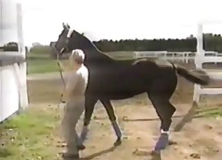 Passionate action with sexy horses