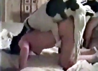 Spotted dog fucked her hole with force