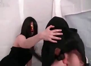 Sexy stray and two impressive zoophiles