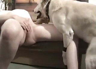 Pregnant-looking chick fucks a dog
