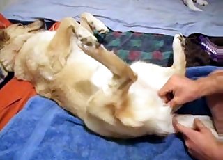 Playing with that succulent dog cunt