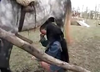 Dark-haired chick lovingly sucks it