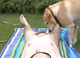 Cute dog licks my loaded hard boner