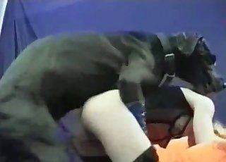 Black cur fuck a girl in stockings