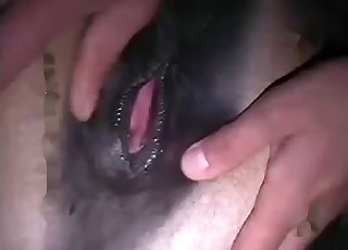Passionate bestiality up close