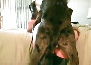 Taking that juicy pussy from behind