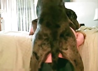 Taking that juicy pussy from behind