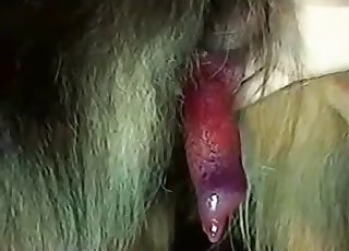 Guy flaunting that red dog cock here