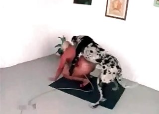 This dog is gonna fuck her real hard