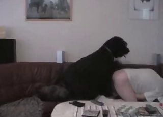 Horny black dog is drilling the holes a slutty woman