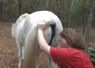 White stallion in stunning farm animal sex