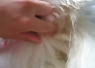 Close-ups and beyond, enjoy zoo porn