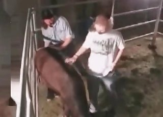 Farm animals fuck this chick