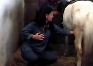 Brunette zoophile jerks off huge animal dick