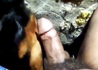 Dirty dog lapping this dude's balls