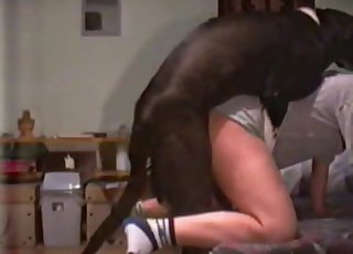 สุนัขตัวใหญ่ขี้เล่นเย็ดกับช่องคลอดเปียกๆ ของเธอ